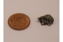 Minischildkröte