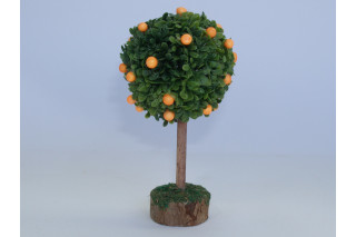 Orangenbaum - Neuheit 2021
