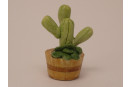 Kaktus gr&uuml;n - Neuheit 2022
