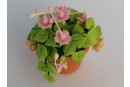 Rosarote Blumen im Pflanztopf - Neuheit 2024